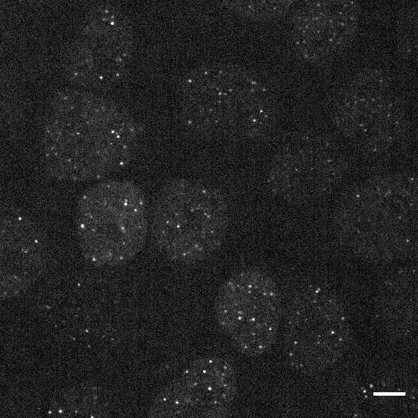 [object Object] thumbnail