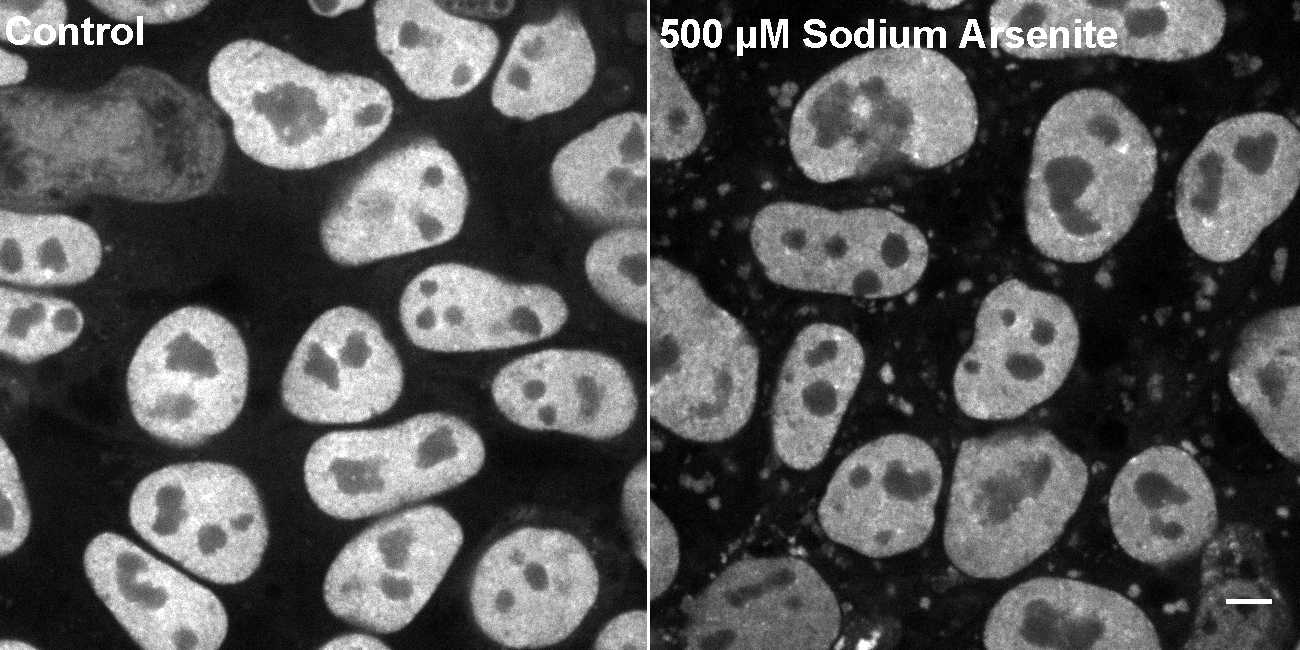 [object Object] thumbnail