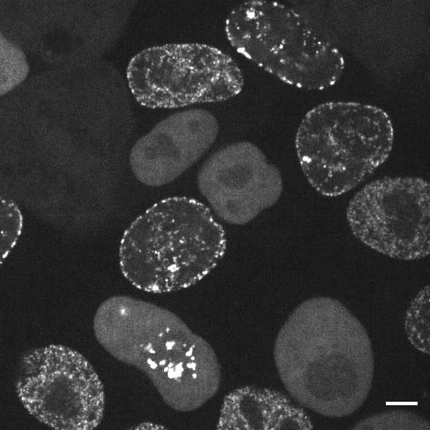 [object Object] thumbnail